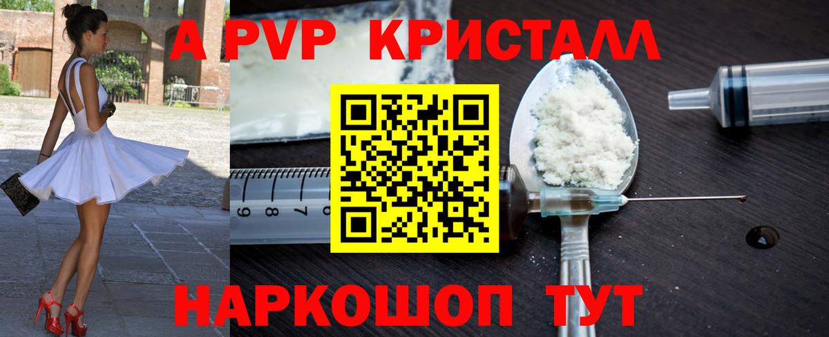 Alfa_PVP СК Сыктывкар