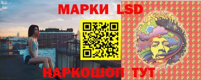 прущие грибы Можайск