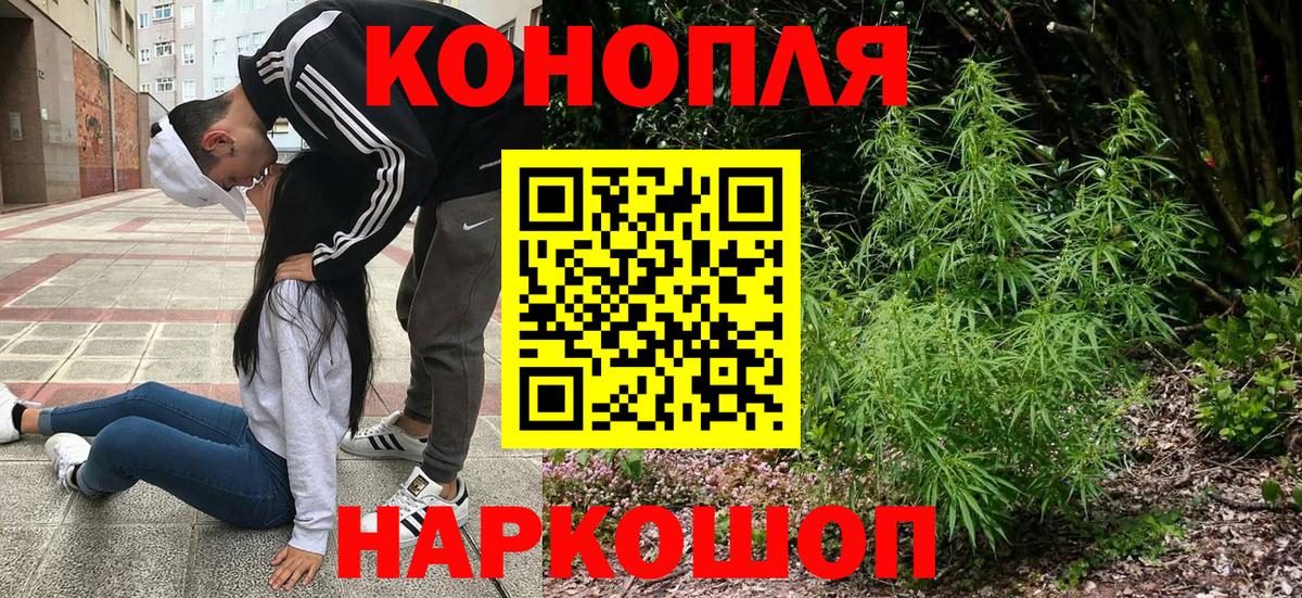 МАРИХУАНА ГИДРОПОН Сыктывкар
